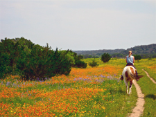 USA-Texas-Equestrian Lodge